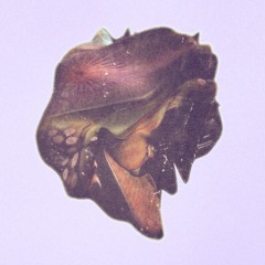 000_1----[[[