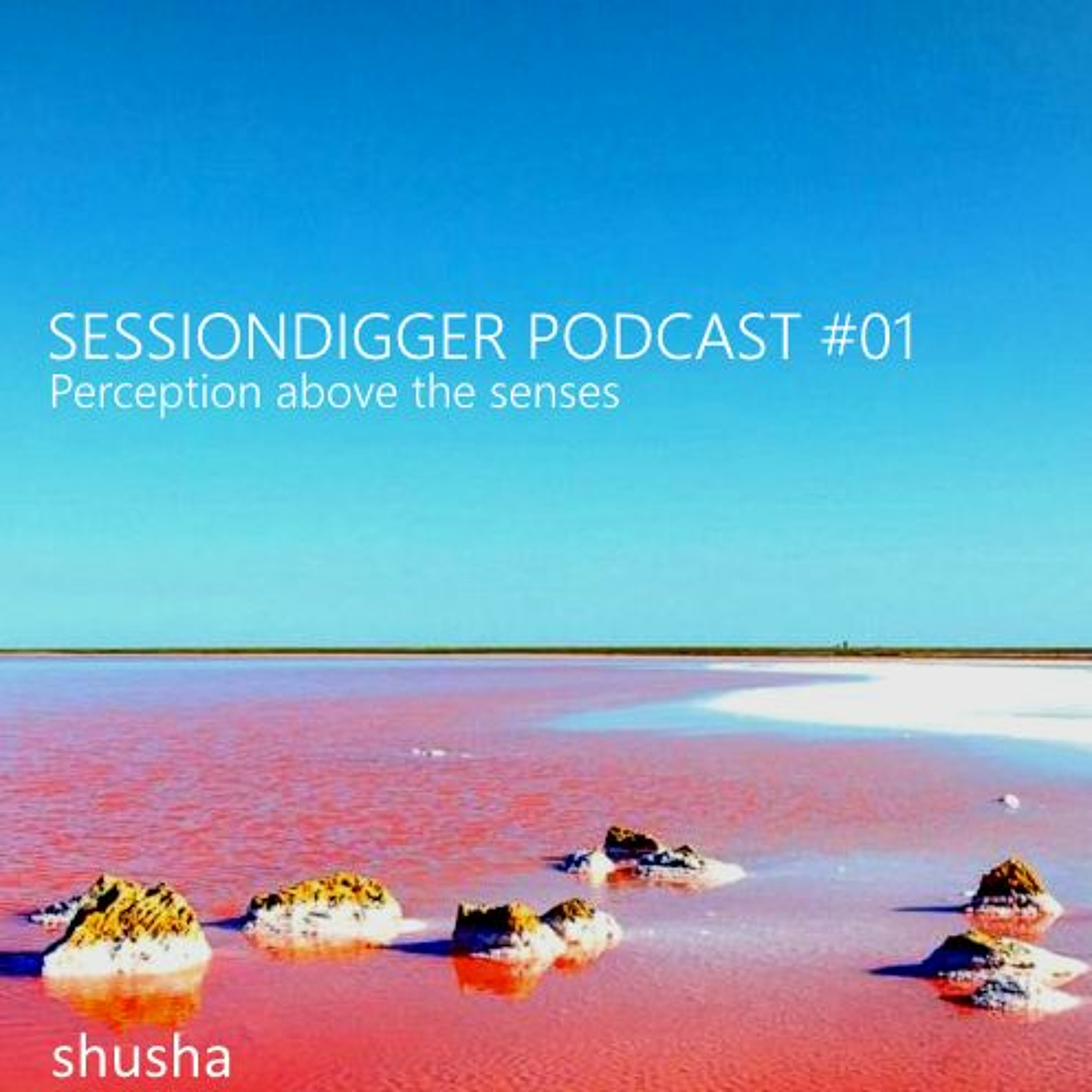 sessiondigger podcast