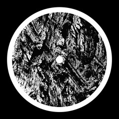 Antenes - Shifting Zones [SSX09]