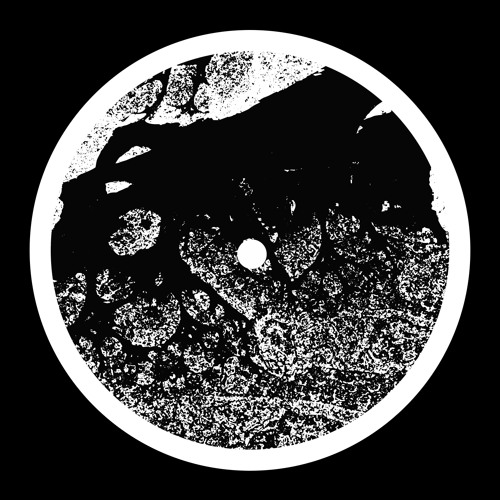 ASC - Eccentric Orbits [SSX10]