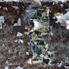 A Single Voice Or Two