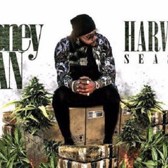 Money Man “Cardi B”