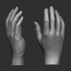 /   /   /   /   /   /   /   /   /   /