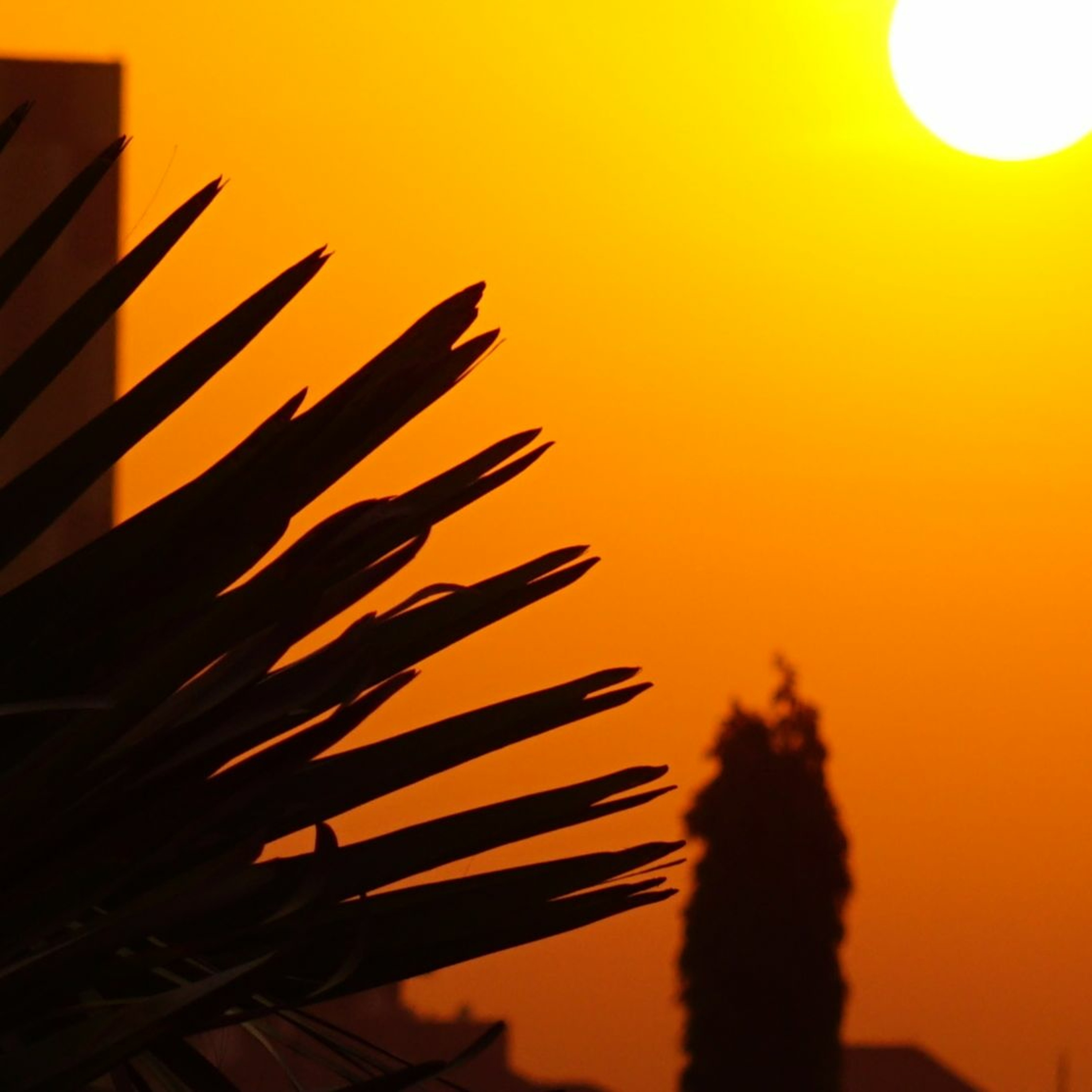 O' Brother episode artwork