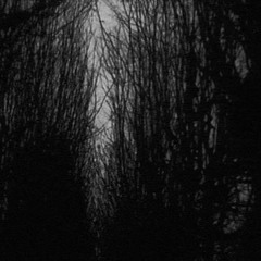 "Dark Sunnyday" psy trip-mix (Dark|Forest|Hi-tech|Psycore)