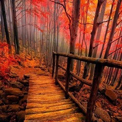 Autumn Energy- Keiko ft. ChelsxNavy