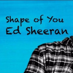 24 Genres of Shape Of You
