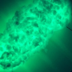 Spoonfed (Lil Uzi Vert Playboi Carti Pi'erre Bourne SahBabii type beat)