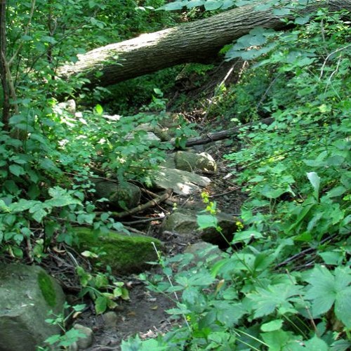 In the Field 10/21/17