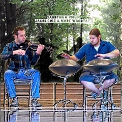Bowie - performed by Handpan & Violin - Jacob Cole & Mark Woodyatt