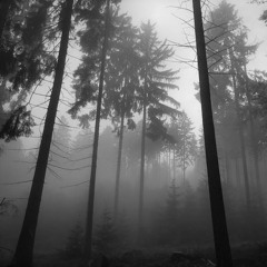 " Misty " / - Future bass - soundtrack -