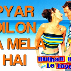Pyaar Dilo Ka Mela Hai Remix - DJ Chetas