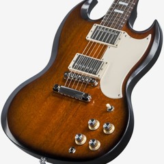 Gibson SG Special 2017 Dead Spot Test G-String Fret 7-14