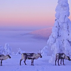 Aleksi Perälä - UK74R1512110 (Sven Christ Remix)