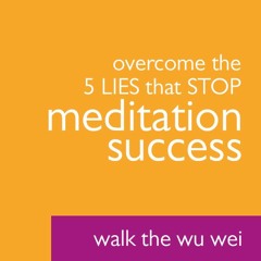 Overcome the 5 LIES That STOP Meditation Success  - Walk the Wu Wei #29