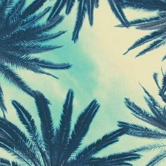 Tropical Vibes