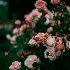 Nezih Uzel - Sivâdan Kalbini Pâk et