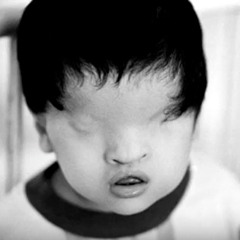 requiem for a rendeer