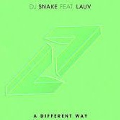 DJ Snake & Lauv - A Different Way (Paul Gannon X Coby Watts Remix ) OFFICIAL REMIX