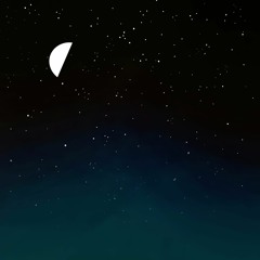 . n i g h t s k y .