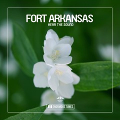 Fort Arkansas - Hear The Sound
