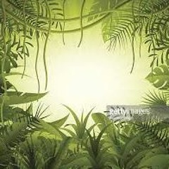 Jungle