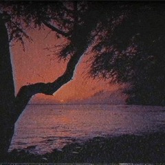 TrubbTrillions - On My Body [prod.widmaer]