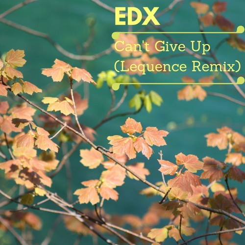 EDX - We Can't Give Up (Tom Vrazo Remix) [Spinnin Remix Contest]