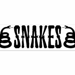 Watch Out For These Snakes