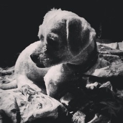 Photograph - Cover by Pia Rafols