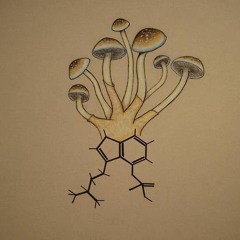 Luddite - Mushroom Season