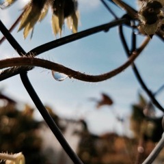 Whistleblower (with Timo Surbeck)