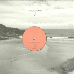 Pablo Bolivar & Sensual Physics - Traverse (Reprise) (7V035)