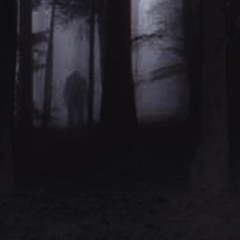 Ｎｏｔ Ａｌｏｎｅ