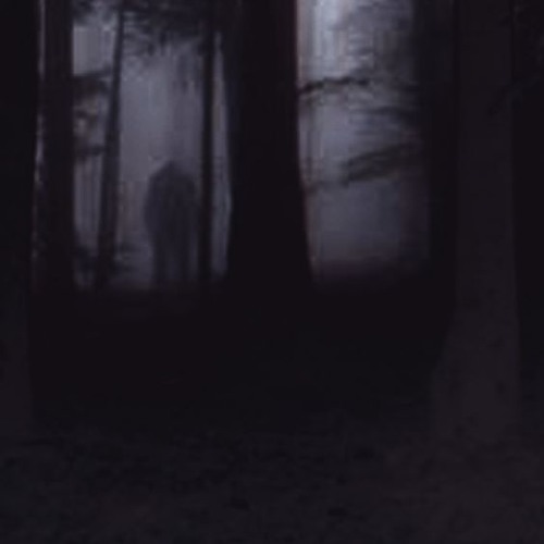 Ｎｏｔ Ａｌｏｎｅ