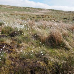 Connect To Right Now & Let Go of What Was | With all of my Spirit Ep. 1