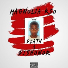 Magnolia Kso x Solid