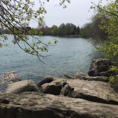 The Man Who Can't Be Moved (cover)