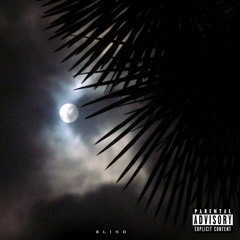 Blind Complete Project -RayCa$Hiz (2017)