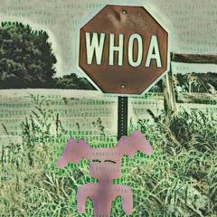 Whoa Feat. Smooth Clutchn, Pop & Audd3y