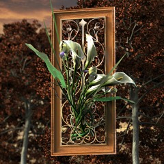 Evar - Secrets Revealed