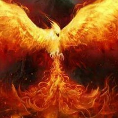 A Phoenix too Bright