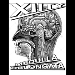 MEDULLA OBLONGATA