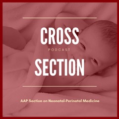 Cross Section - October 22 2017 - Advocacy and Early Career Neonatologists (Friedman And Lucke)