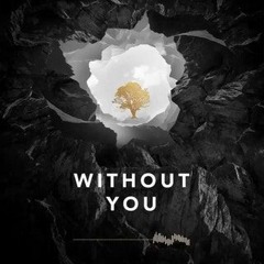 Without you - Avicci (Joeart Remix)