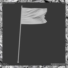 Damndef X Nopitchonair - 국토횡단 RIDDIM