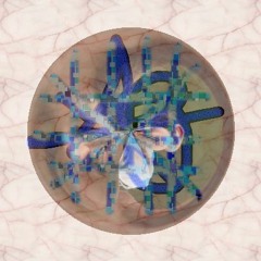 The Boys Go on an Adventure