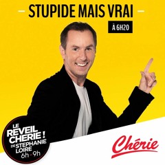 STUPIDE MAIS VRAI