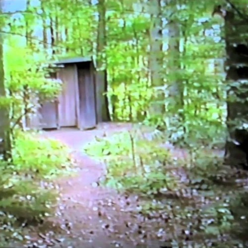 strollin thru woods w/ csd & ice ach