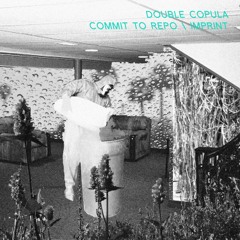 Double Copula - Commit To Repo